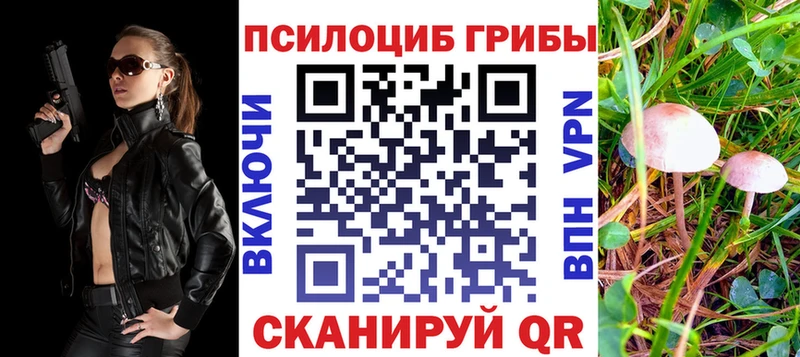 Купить закладки  Арсеньев  Псилоцибиновые грибы GOLDEN TEACHER 